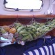 Fruta recolectada en Marquesas