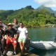 Moorea