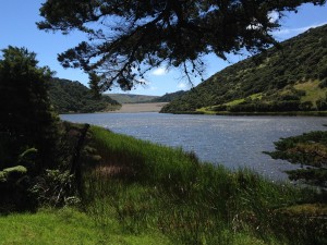 Bethells Beach