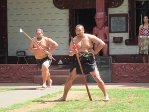 Show Maori en Waitangi Treaty Grounds
