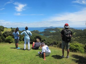 Vistas en Bay of Island