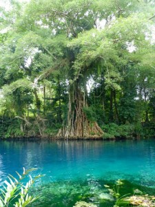 Blue Hole (Espíritu Santo).