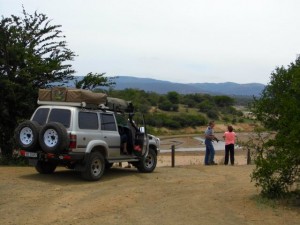 Safari Time