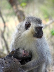 Madre e hijo